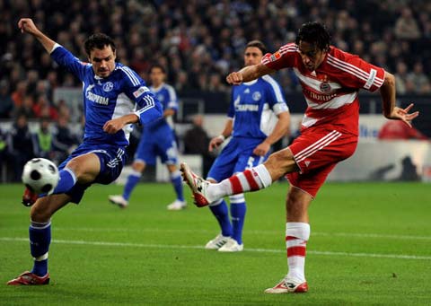 樊振东的成 樊振东的成